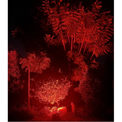 100W Red Flood Light 