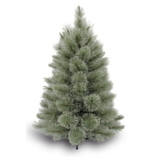 3 Foot Blue Appalachian Pine Christmas Tree