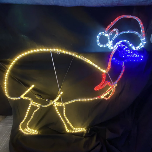 Christmas Cassowary Rope Light Motif
