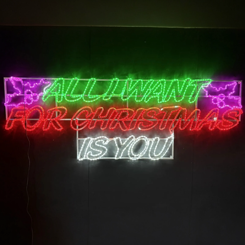 ALL I WANT FOR CHRISTMAS IS YOU Rope Light Motif