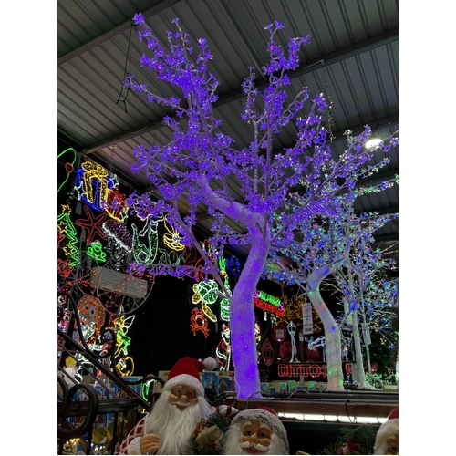 1.8m Purple Cherry Tree