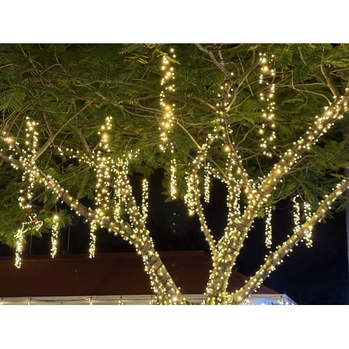 10M Warm White Firecracker Curtain with controller - 240V