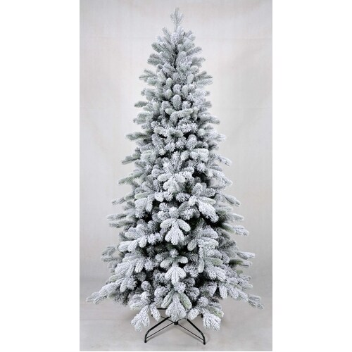 6 Foot Alaskan Spruce Christmas Tree