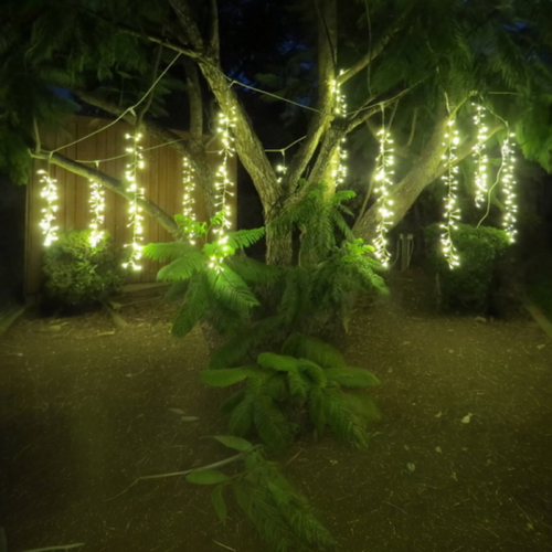 20M Warm White Firecracker Curtain -green wire 