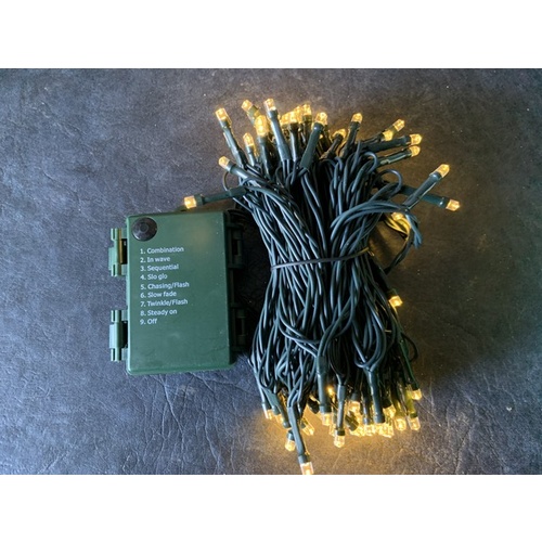 10m Warm White LED Battery String- green wire