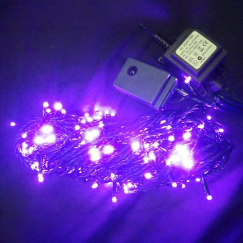 20m Purple String - PREORDER FOR 2025