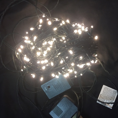 20m Warm White LED String- 24V -green wire