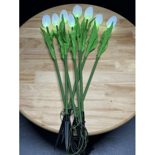 Set of 8 White Tulips 