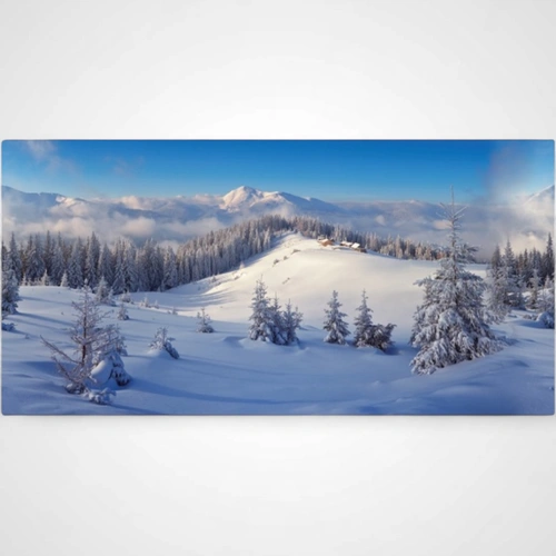 Winter Forest Background Cloth - PREORDER