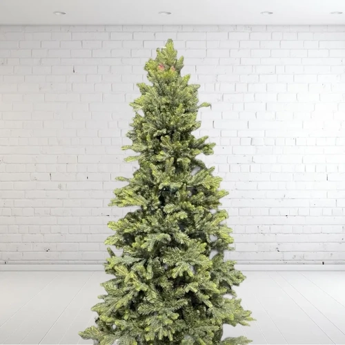 6 Foot Norway Spruce Christmas Tree