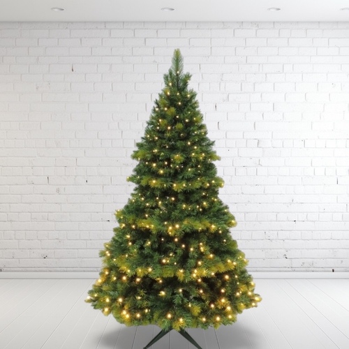 8 Foot Lit Oxford Spruce Christmas Tree - 600 Bulbs