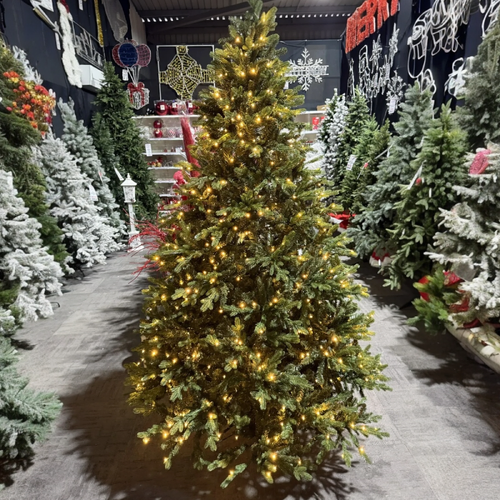 7.5  Foot Warm White/Multi Lit Fraser Hill Christmas Tree