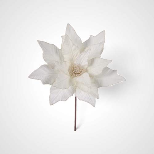 36cm Ivory Poinsettia