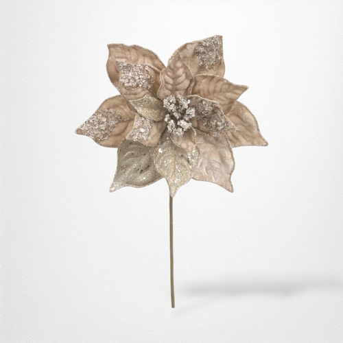 26cm Champagne Velvet Poinsettia