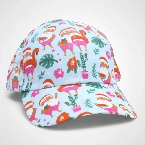 Baseball Cap (B)