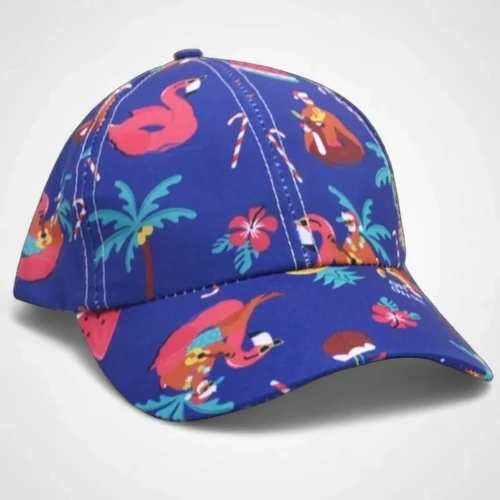 Baseball Cap (D)