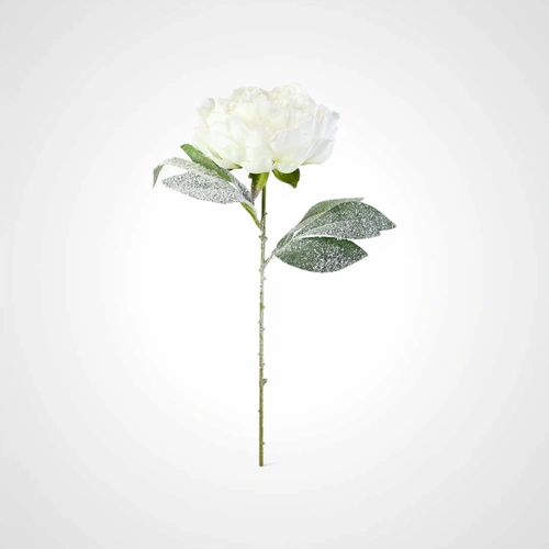 54cm Snowy White Peony Stem - Avail October 2025