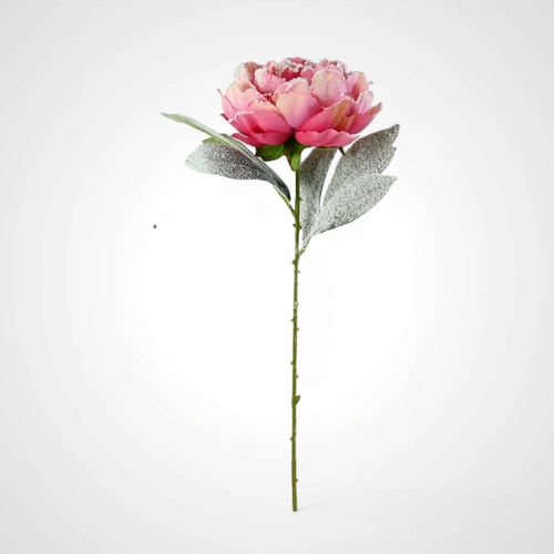 54cm Snowy Pink Peony Stem - Avail October 2025