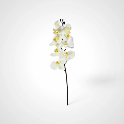 76cm White Orchid Stem A -Available October 2025