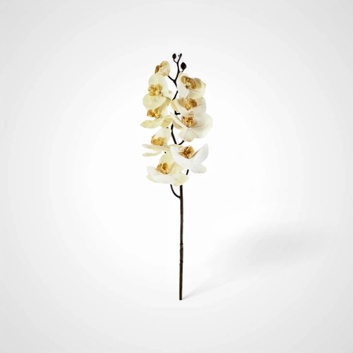 76cm Gold Orchid Stem B - Available October 2025