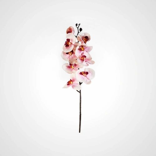 76cm Pink Orchid Stem C - Available October 2025