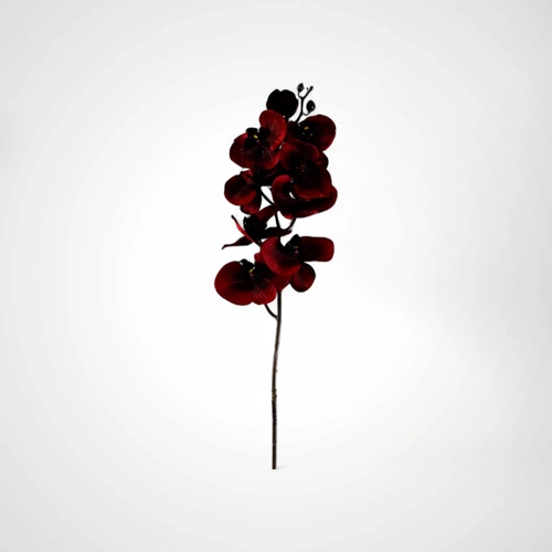 76cm Red Orchid Stem D - Available October 2025