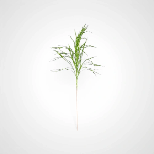 81cm Green Crazy Twig Spray - Available October 2025