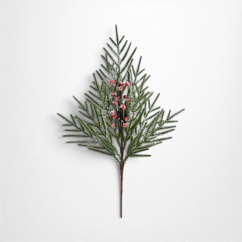 Norfolk Pine Berry Spray B - 76cm (Frosted)