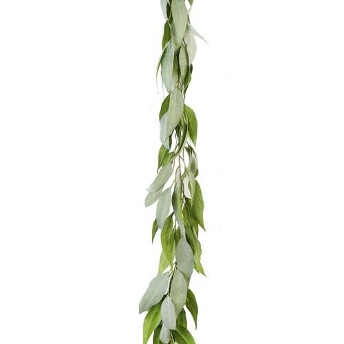 Gum Leaf Garland 180cm