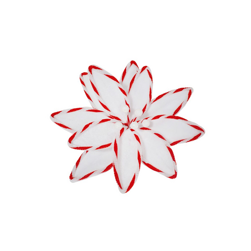 White Poinsettia Candy Stripe Clip 30cm - AVAIL OCT 2024