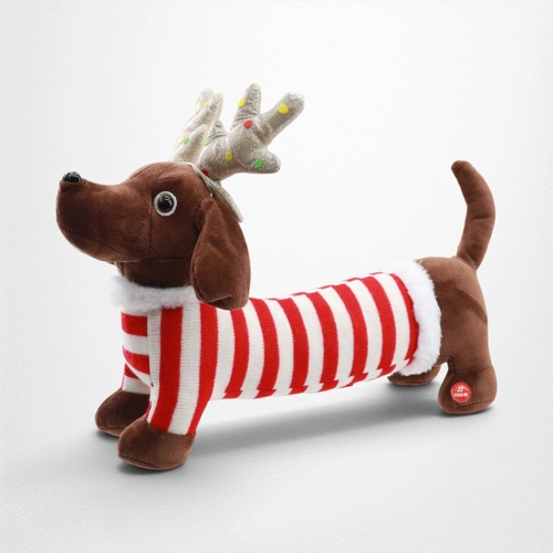 Dachshund A Striped Jacket